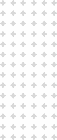 pattern v Escuela Al Exito